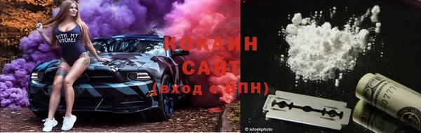 apvp Надым