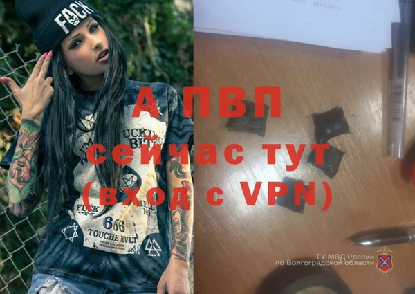 эйфоретик Нефтегорск