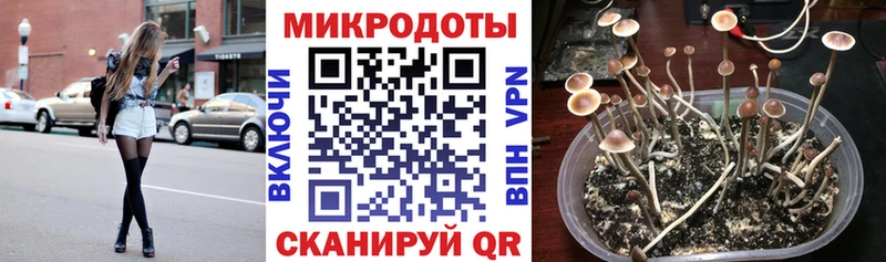 Псилоцибиновые грибы прущие грибы хочу Нижние Серги